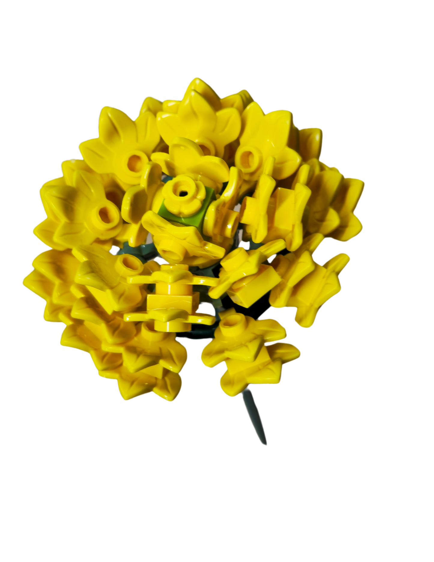 Yellow Aster Single Bloom