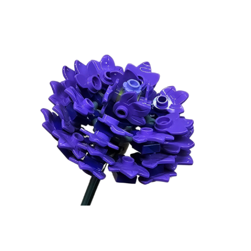 Purple Aster Single Bloom