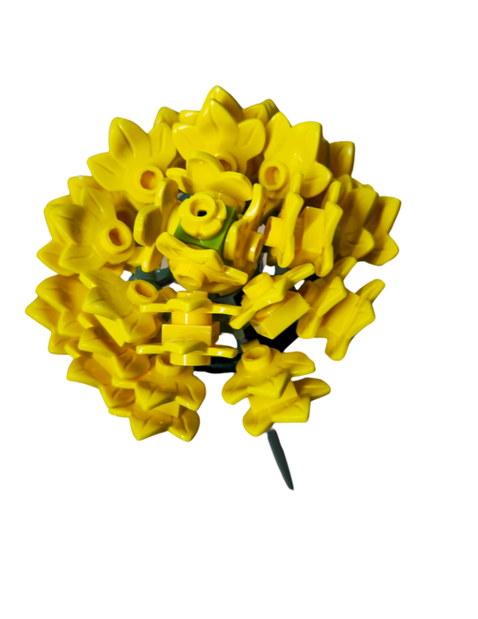 Yellow Aster Single Bloom