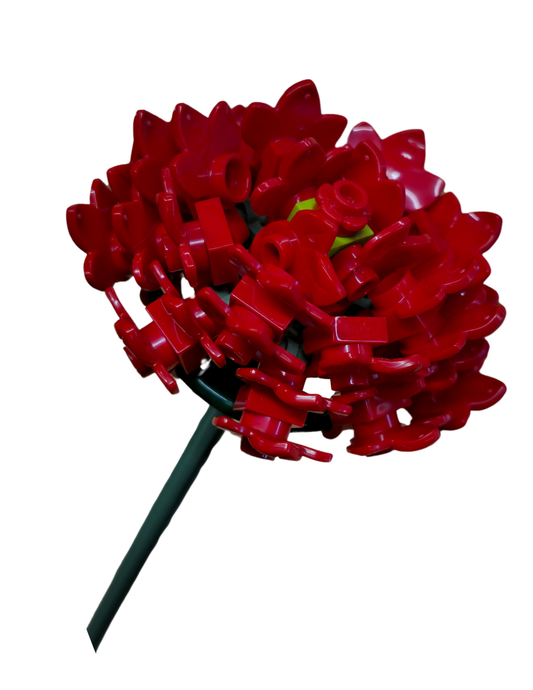 Red Aster Single Bloom