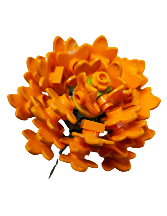 Orange Aster Single Bloom
