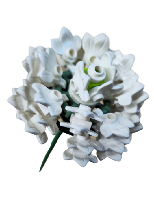 White Aster Single Bloom