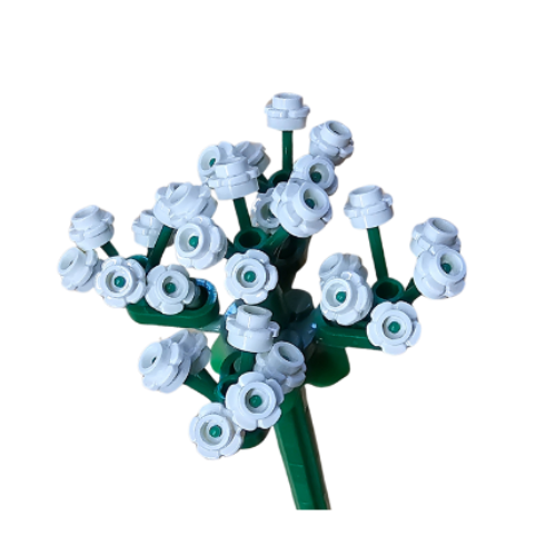 2pk Cow Parsley Blooms