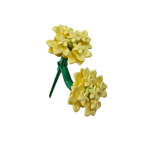 Petite Yellow Yarrow