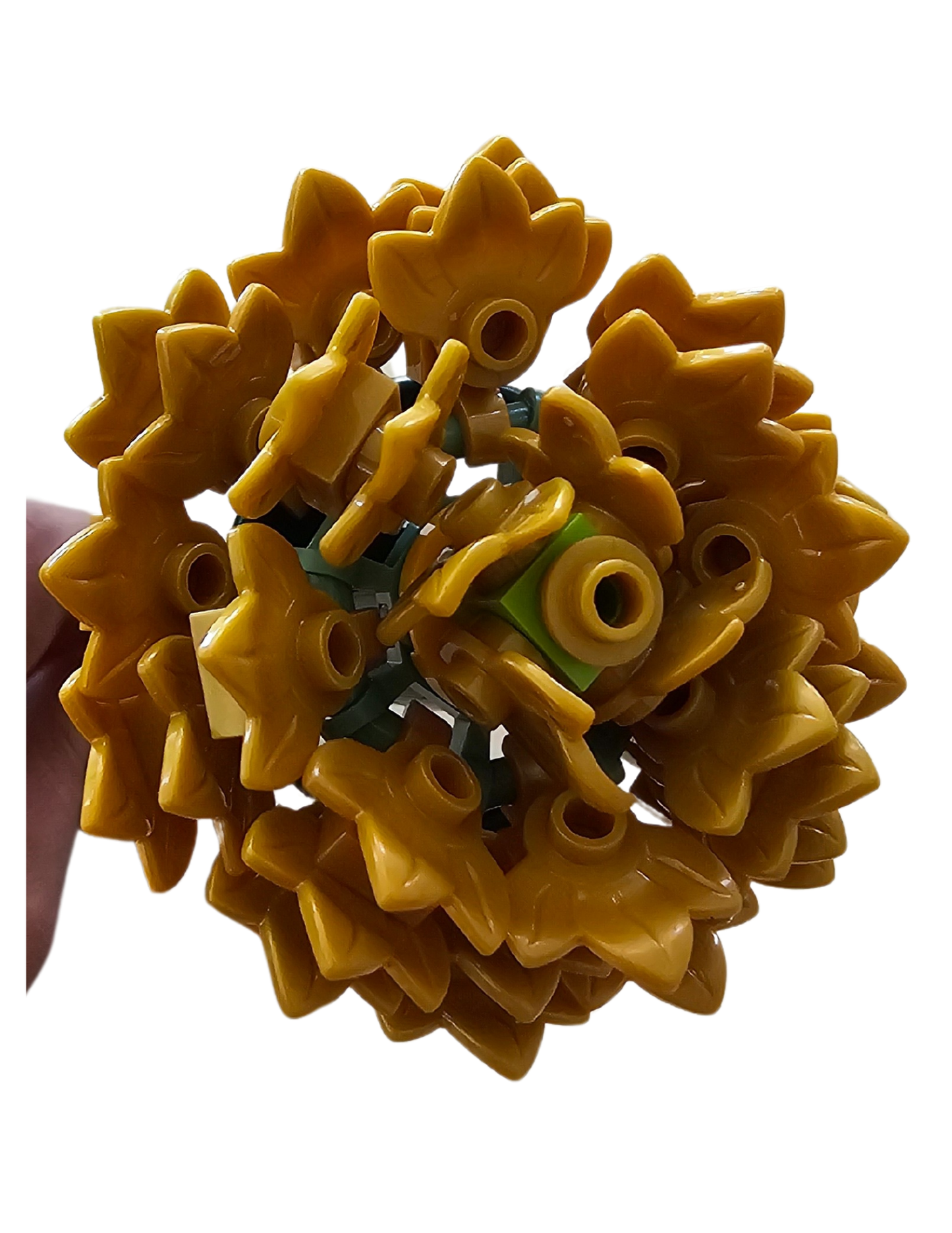 Gold Aster Single Bloom