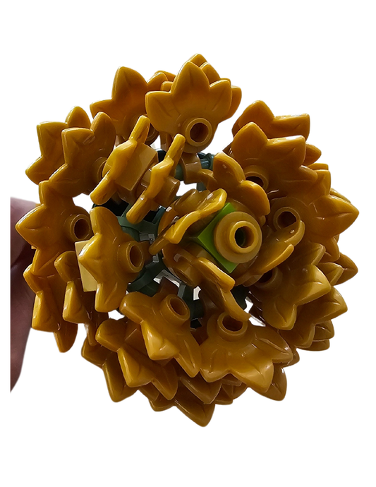 Gold Aster Single Bloom