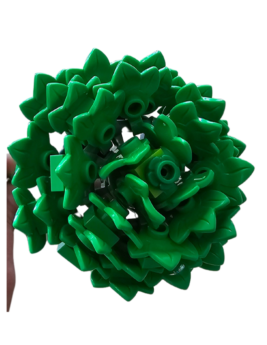 Bright Green Aster Single Bloom
