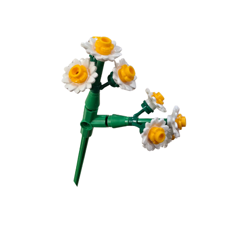 Petite Wild Daisy