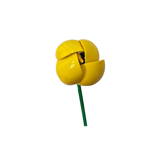 Petite Fancy Yellow Tulip