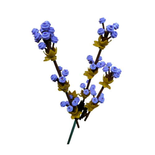 Fresh Purple Lavender Single Bloom