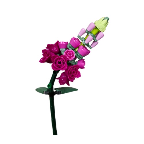 Curved Snapdragon Single Bloom