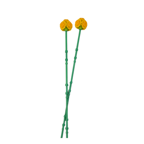 Petite 2pk Billy Buttons